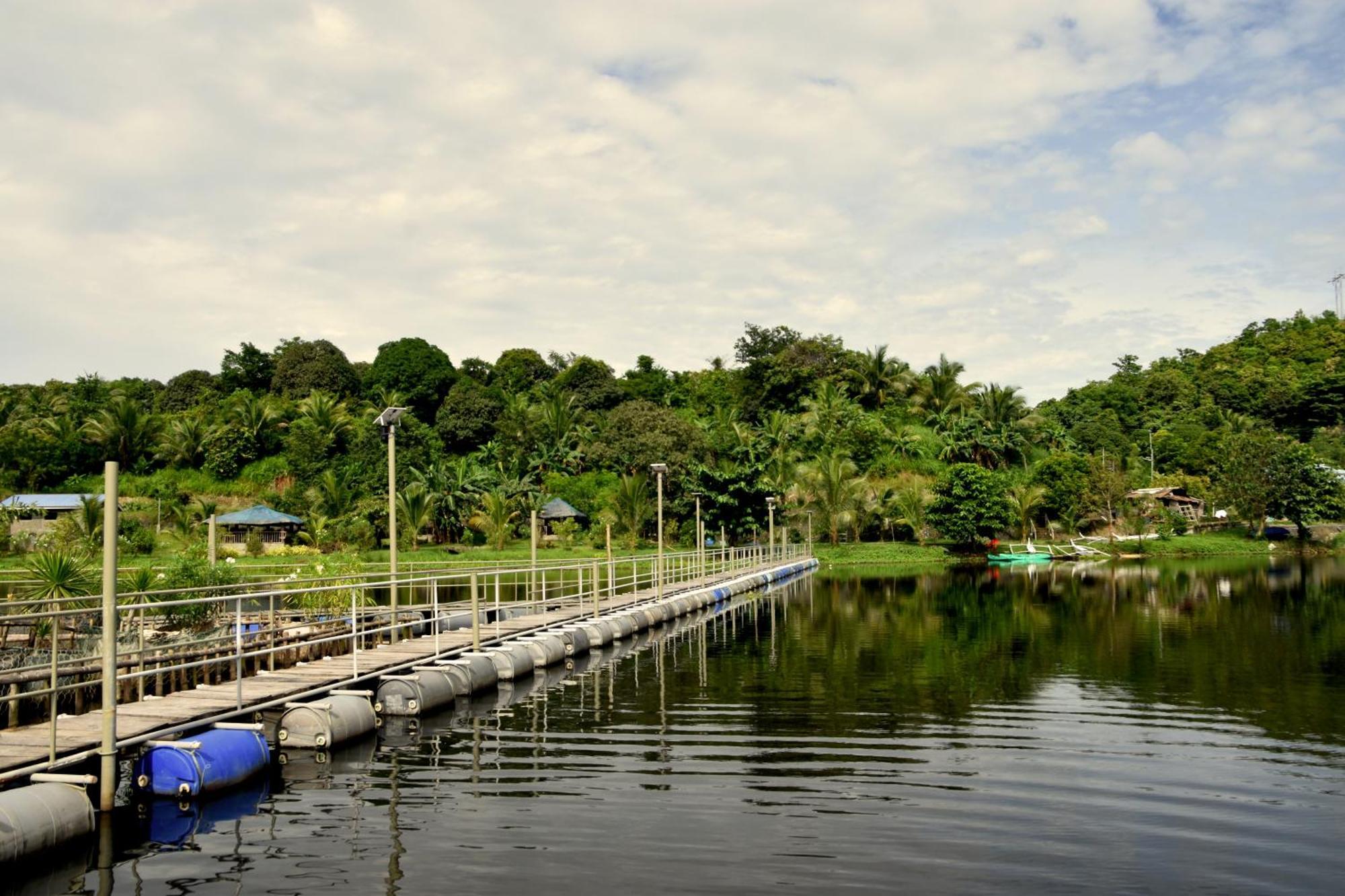 Isla De Oro Hotel Mamburao Exterior photo